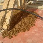 כיצד מפנים נחיל דבורים - שיטות והמלצות