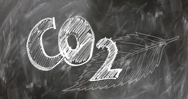 דו-תחמוצת הפחמן. CO2